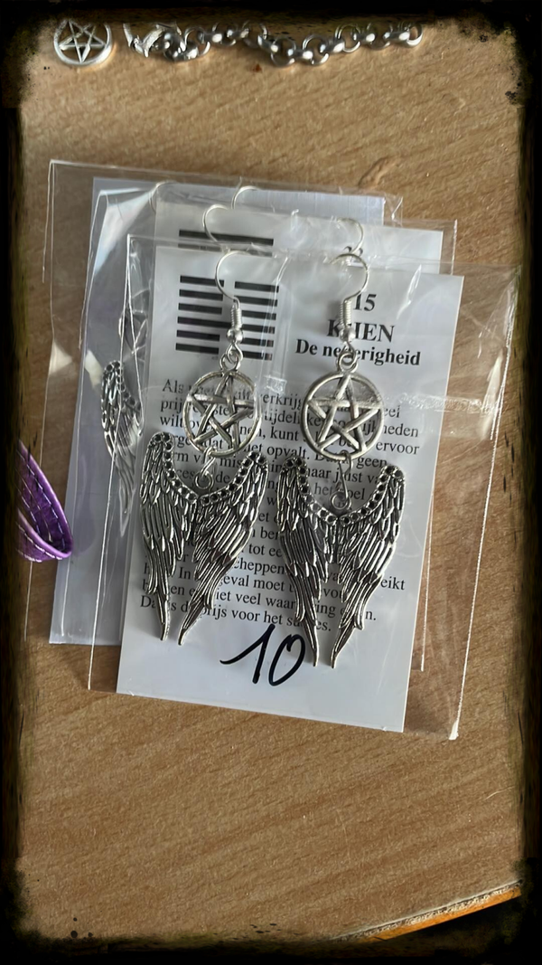 silver colored wing earring