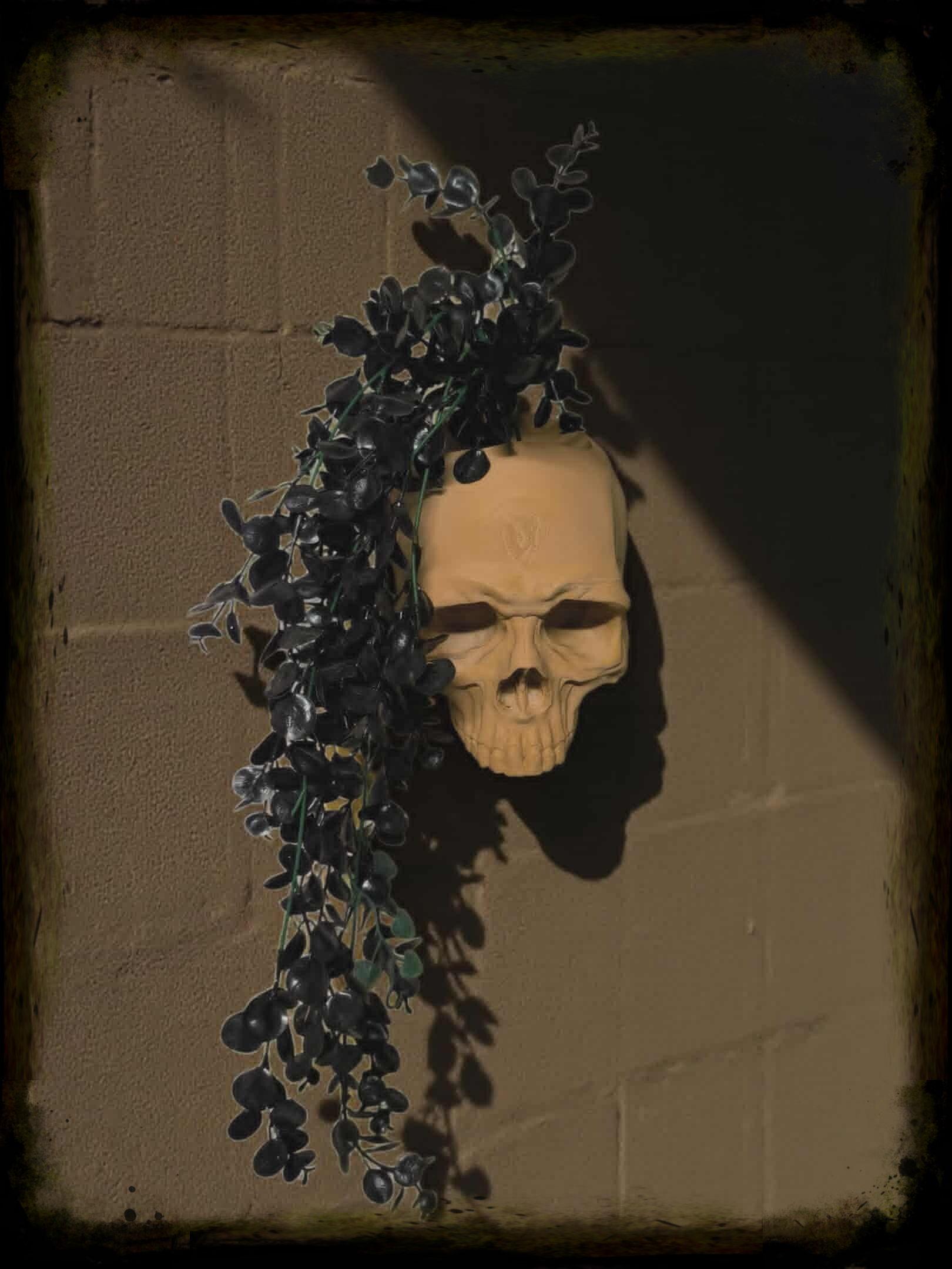 Skull wall flower excl plant