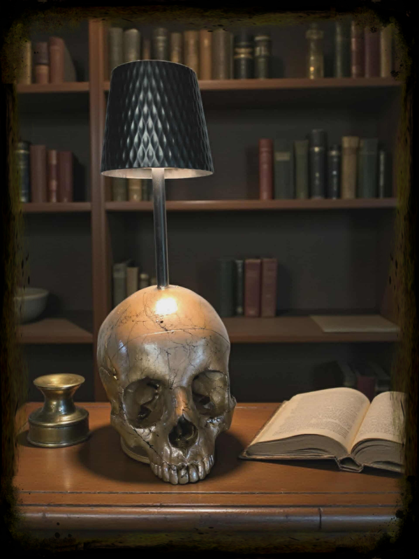 Toothless skull light