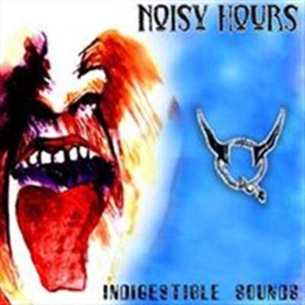 NOISY HOURS Indigestible sounds CD