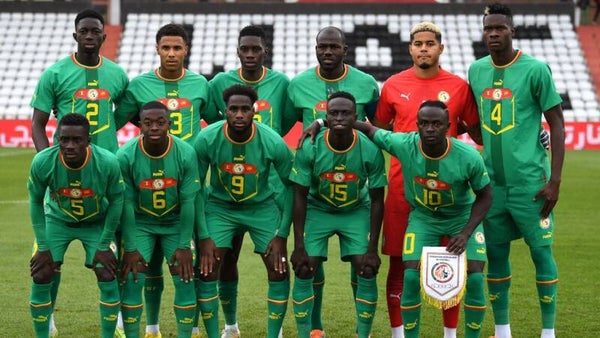 Senegal losse stickers