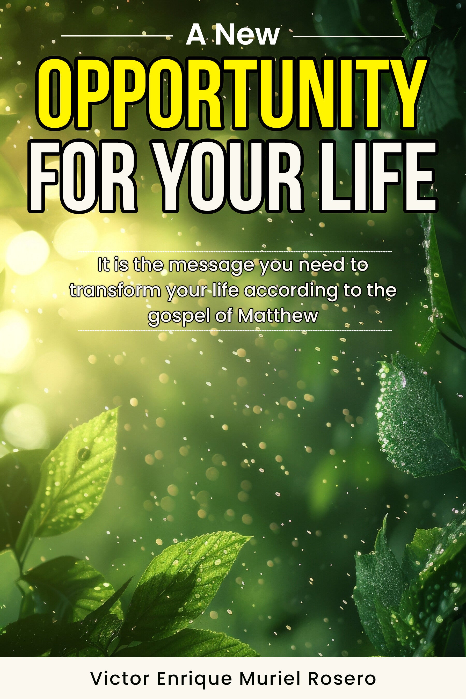 A New Opportunity for your Life