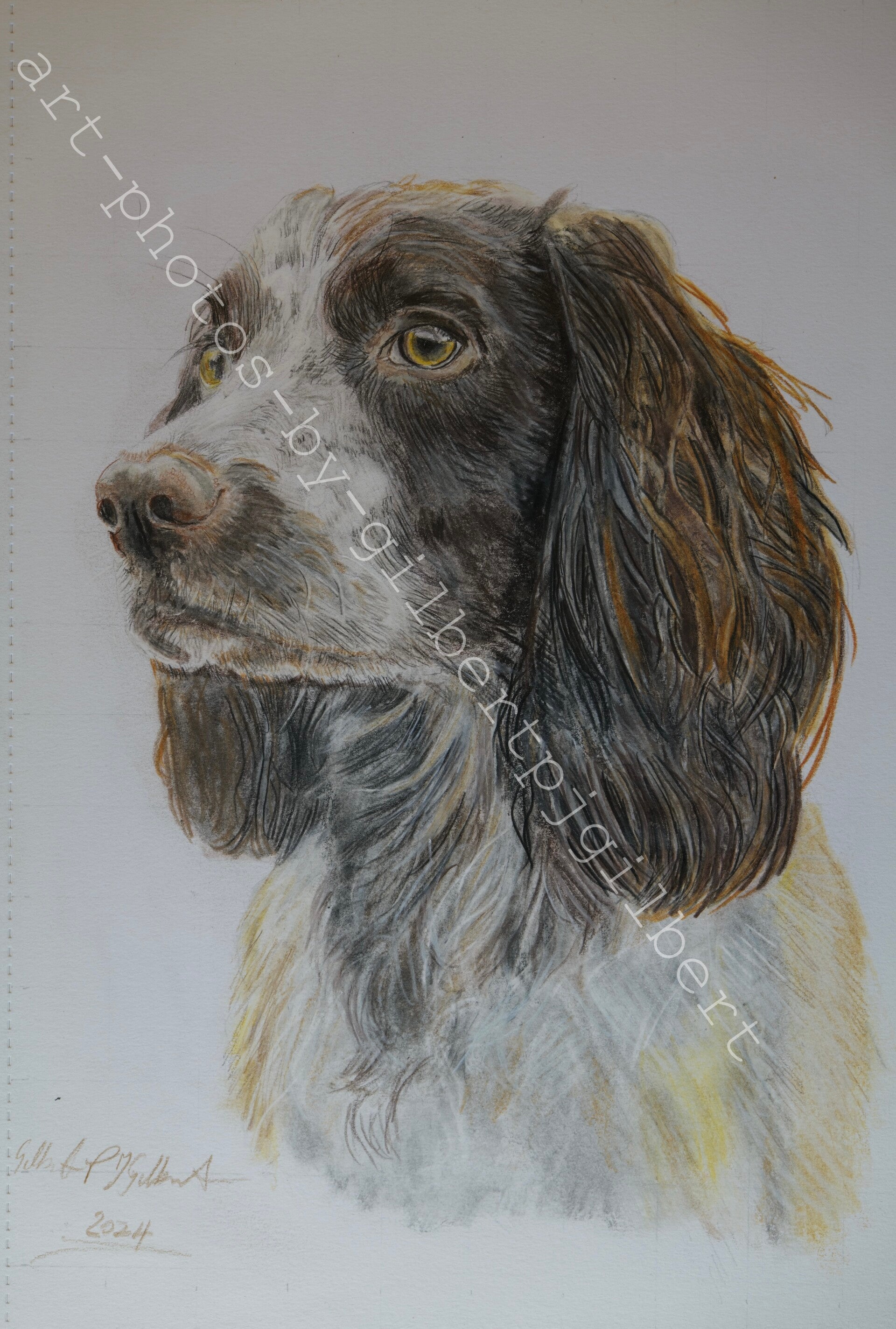 Thoughtful Gaze (Original Artwork - A4 Pencil on Paper)