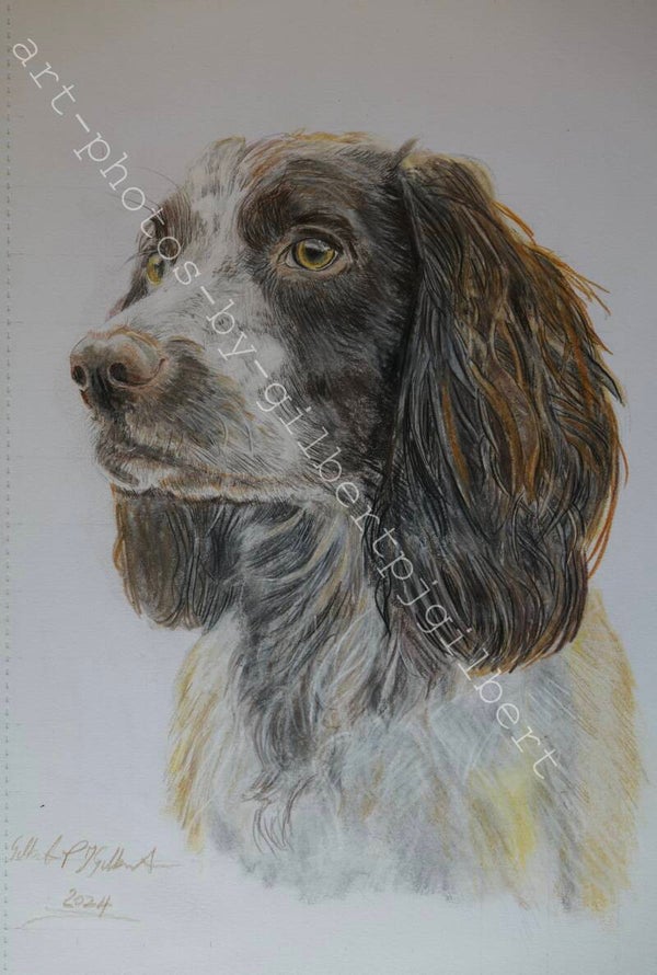 Thoughtful Gaze (Original Artwork - A4 Pencil on Paper)