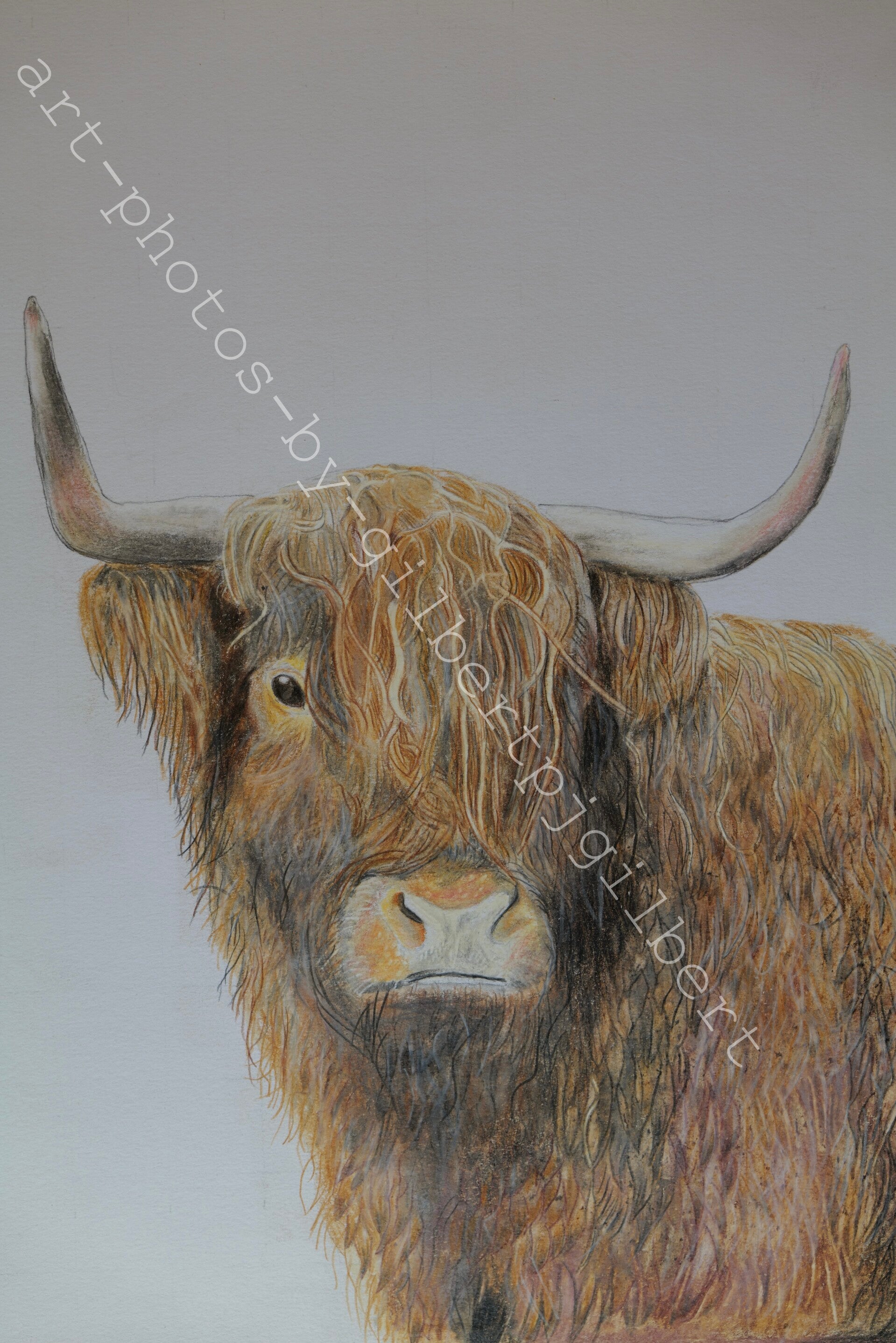 Highland Gaze (Original Artwork - A4 Pencil on Paper)