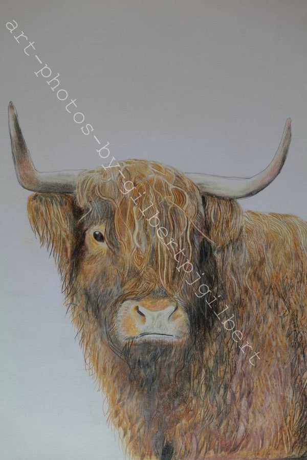 Highland Gaze (Original Artwork - A4 Pencil on Paper)