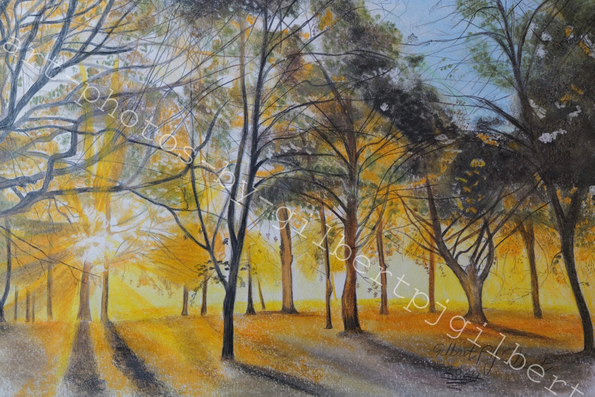 Golden Woodland Glow (Original Artwork - A4 Pencil on Paper)