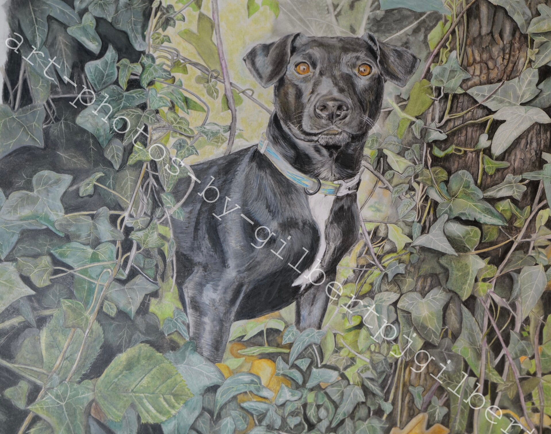 Shadow in the Ivy (Original Artwork - 16” x 20” Pencil on Paper)