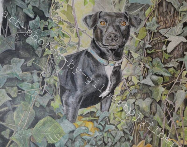 Shadow in the Ivy (Original Artwork - 16” x 20” Pencil on Paper)