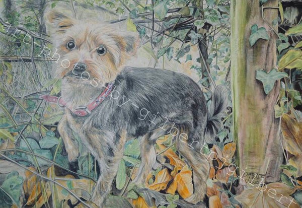 Curious Companion (Original Artwork - 16” x 20” Pencil on Paper)