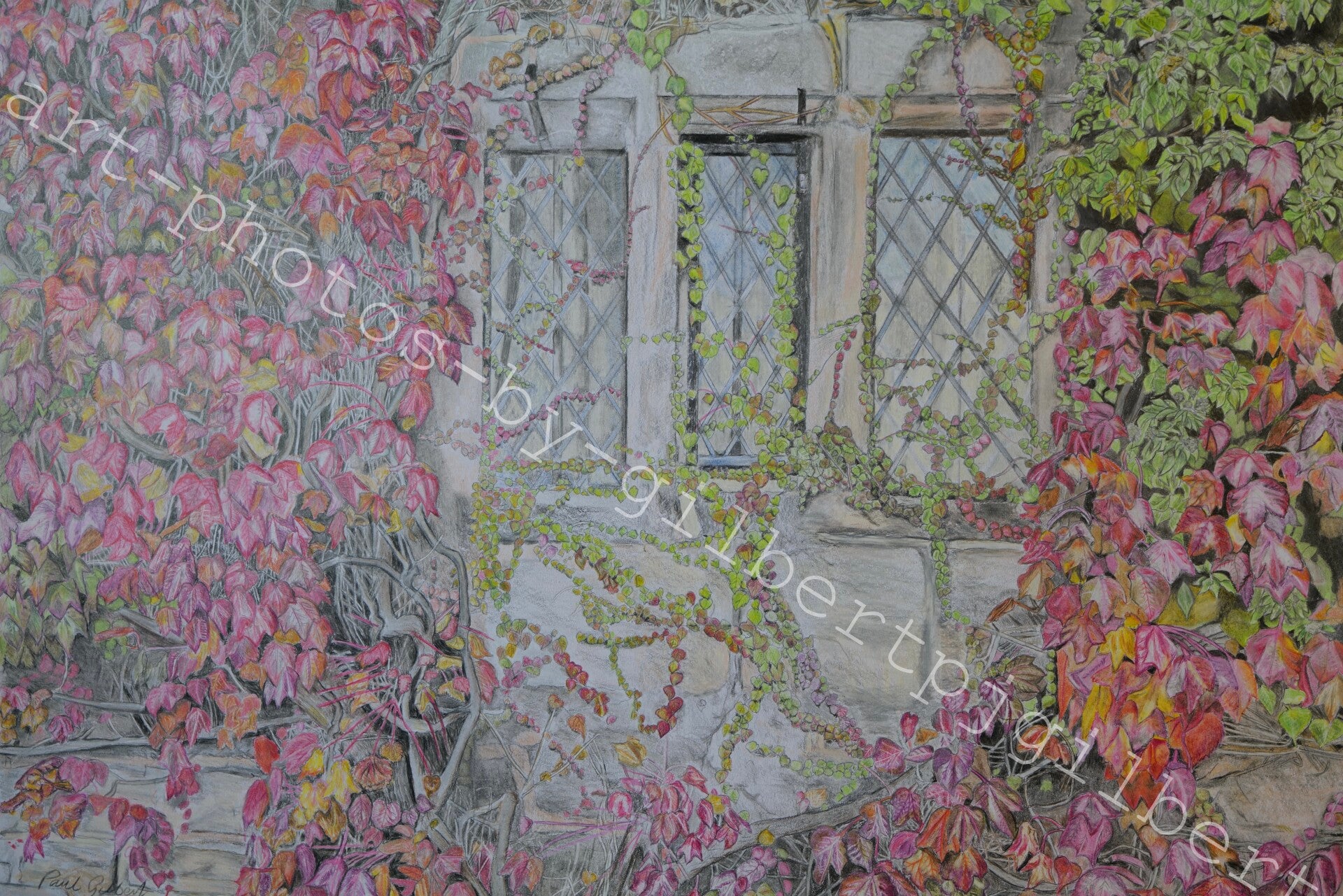 Ivy Framed Window (Original Artwork - A4 Pencil on Paper)