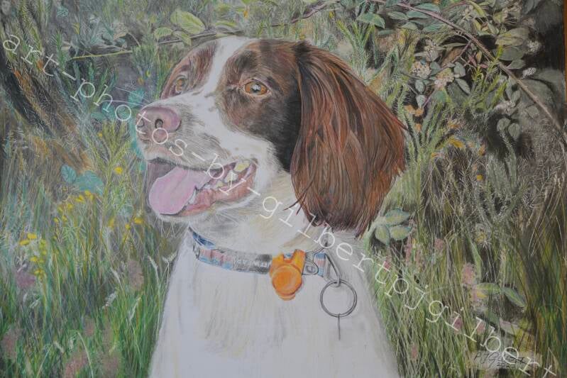 This is Where I Play