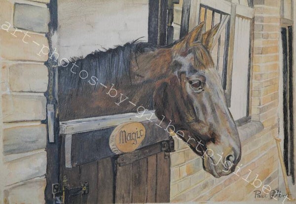 Stable Watcher (Original Artwork - A4 Watercolour on Paper)