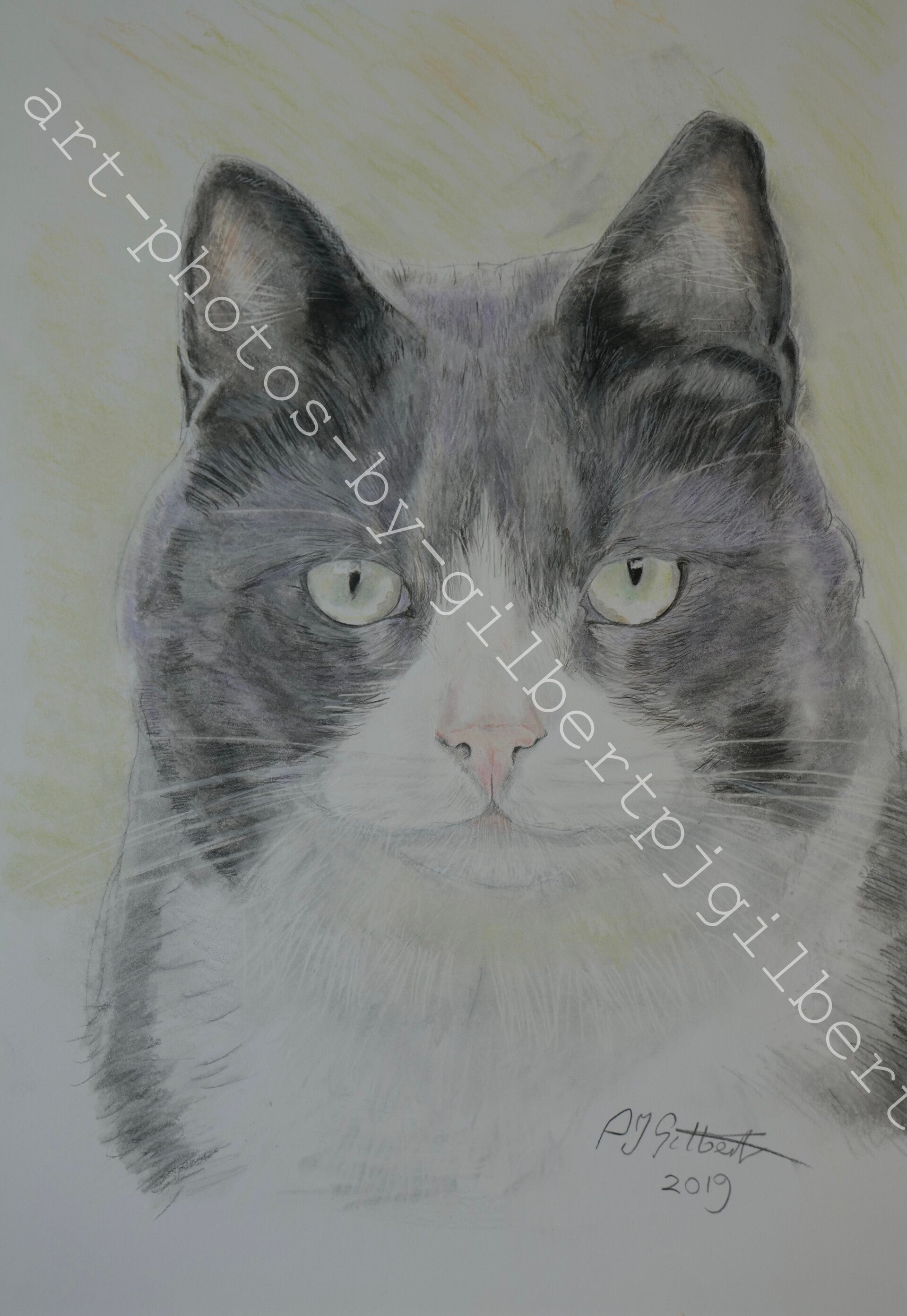 Grey Whiskers Portrait (Original Artwork - A4 Pencil on Paper)
