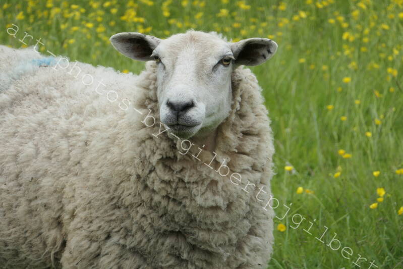 This Coat is getting Hot