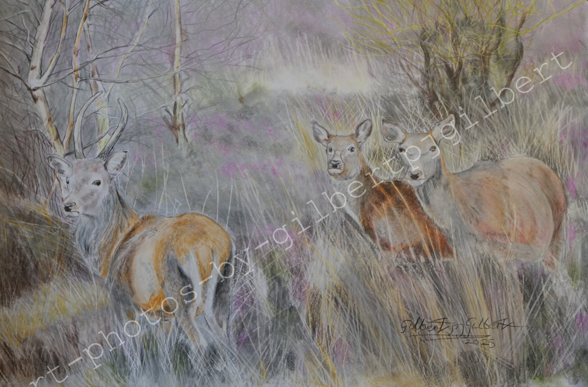 Deer in the Mist (Original Artwork - A4 Pencil on Paper)