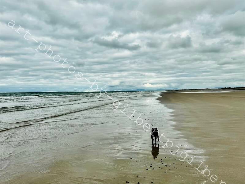 Is this the way to Port Madoc?