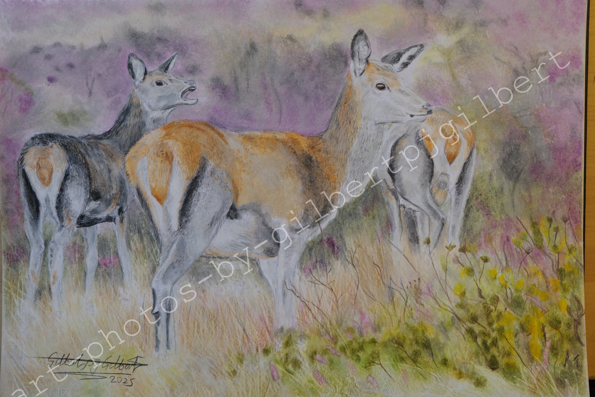 Deer in Pastel Fields (Original Artwork - A4 Pencil on Paper)