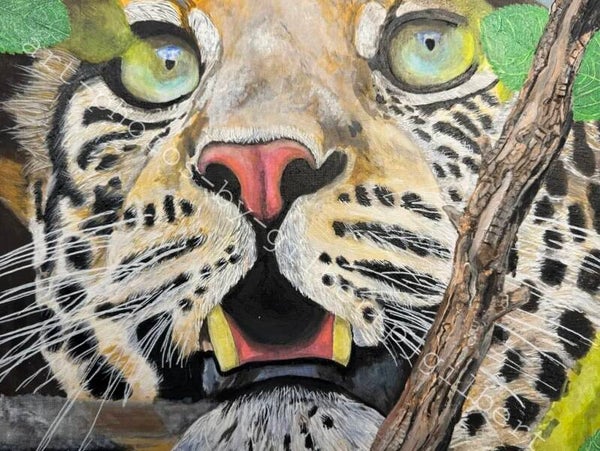 Fierce Gaze (Original Artwork - A3 Acrylic on Canvas Board)