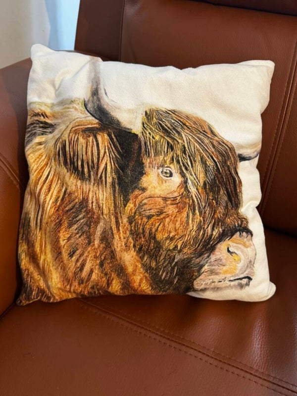 Cushions