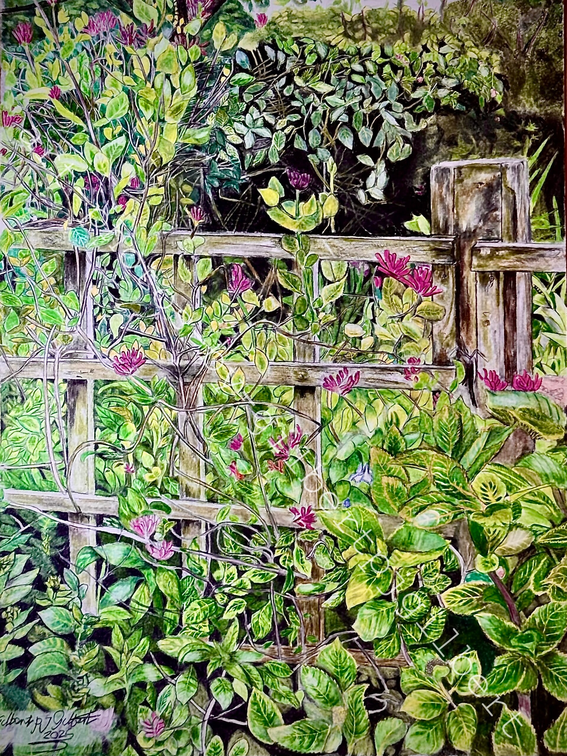 The Secret Garden (Original Artwork - A4 Pencil on Paper)