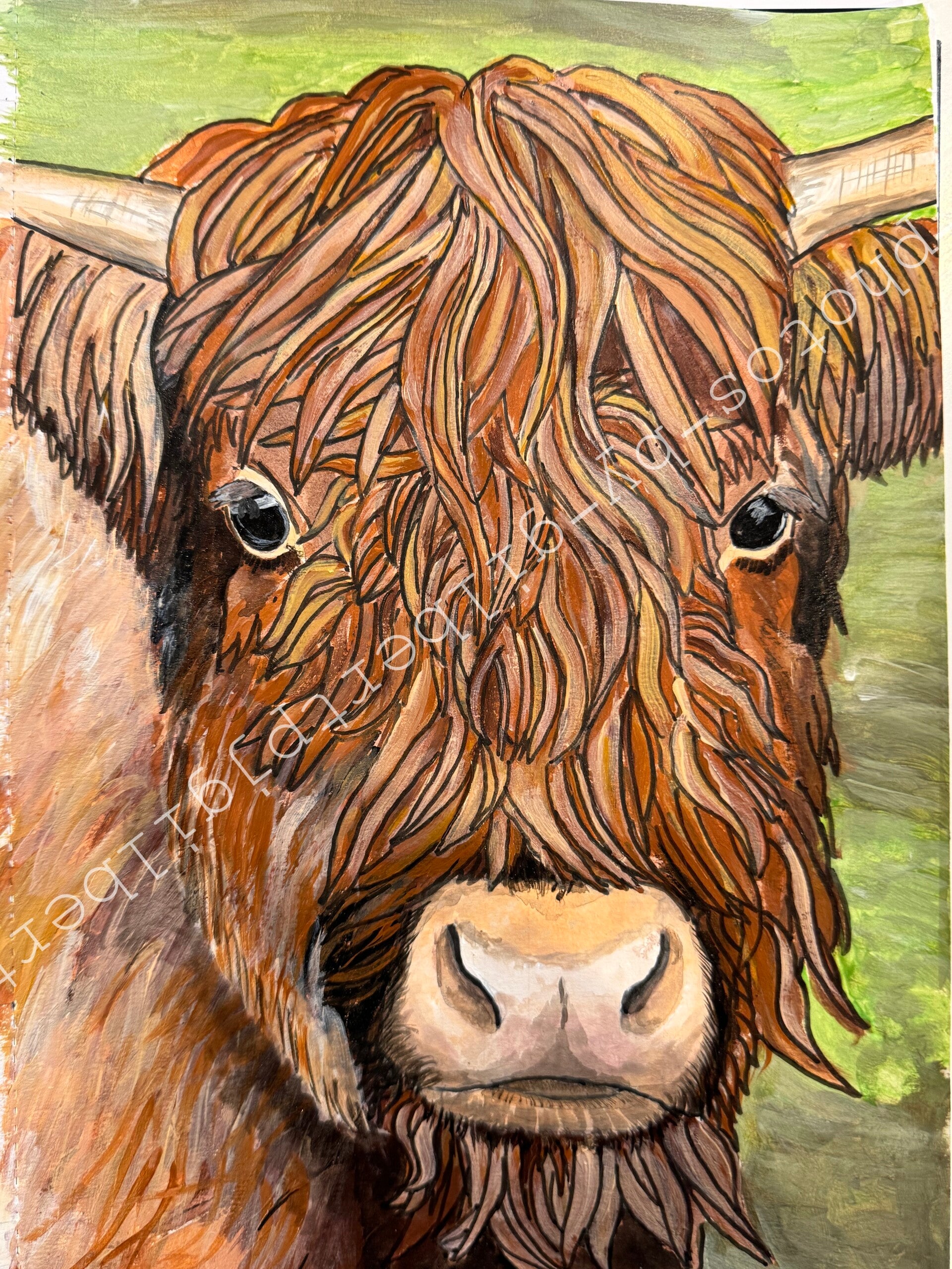 The Gentle Gaze of the Highland Cow (Original Artwork - A4 Acrylic on Paper)