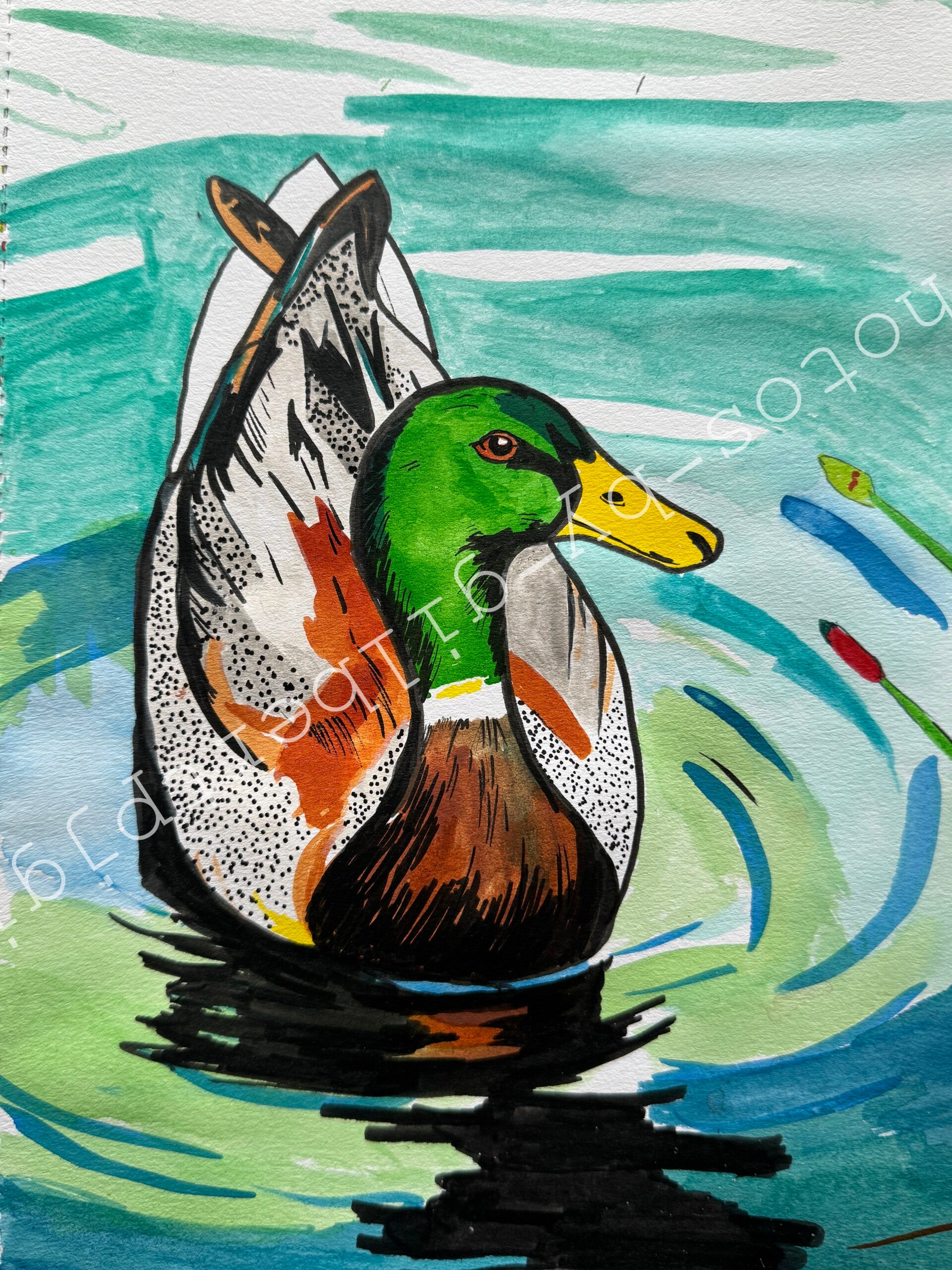 Mallard in Motion (Original Artwork - A4 Ink on Paper)