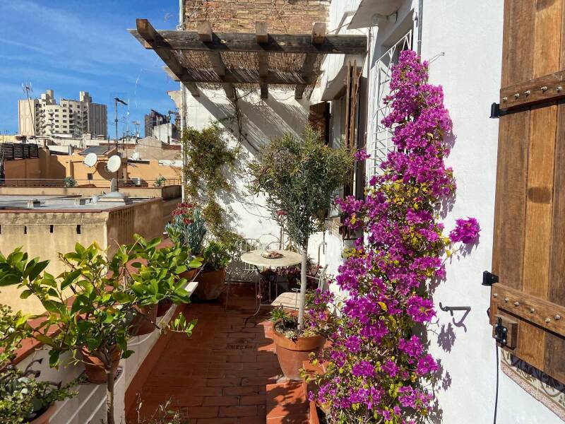 Sunny terrace with a pergola, planters with watering system and  flowers