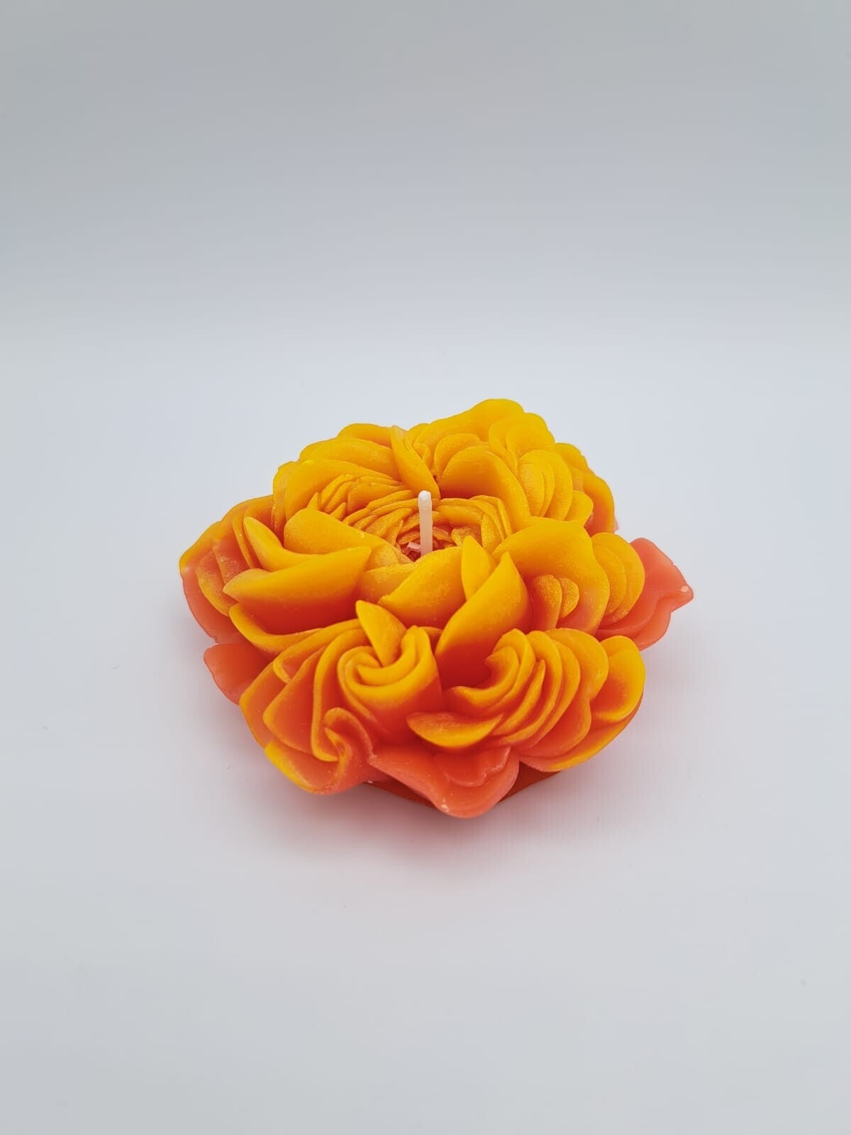 Gänseblume orange/gelb