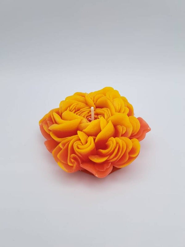 Gänseblume orange/gelb