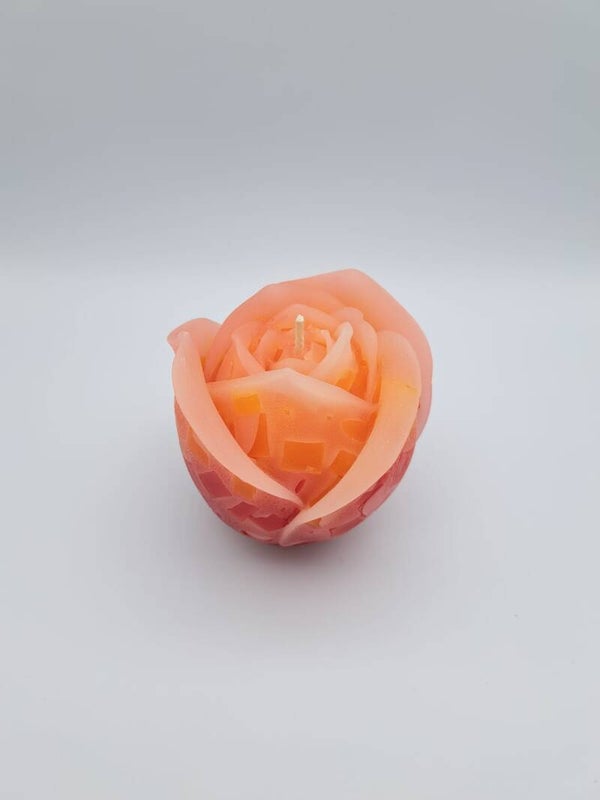 Grosse Rose orange