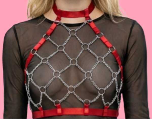 Gorgeous Red & Silver Harness (size UK 10-18)