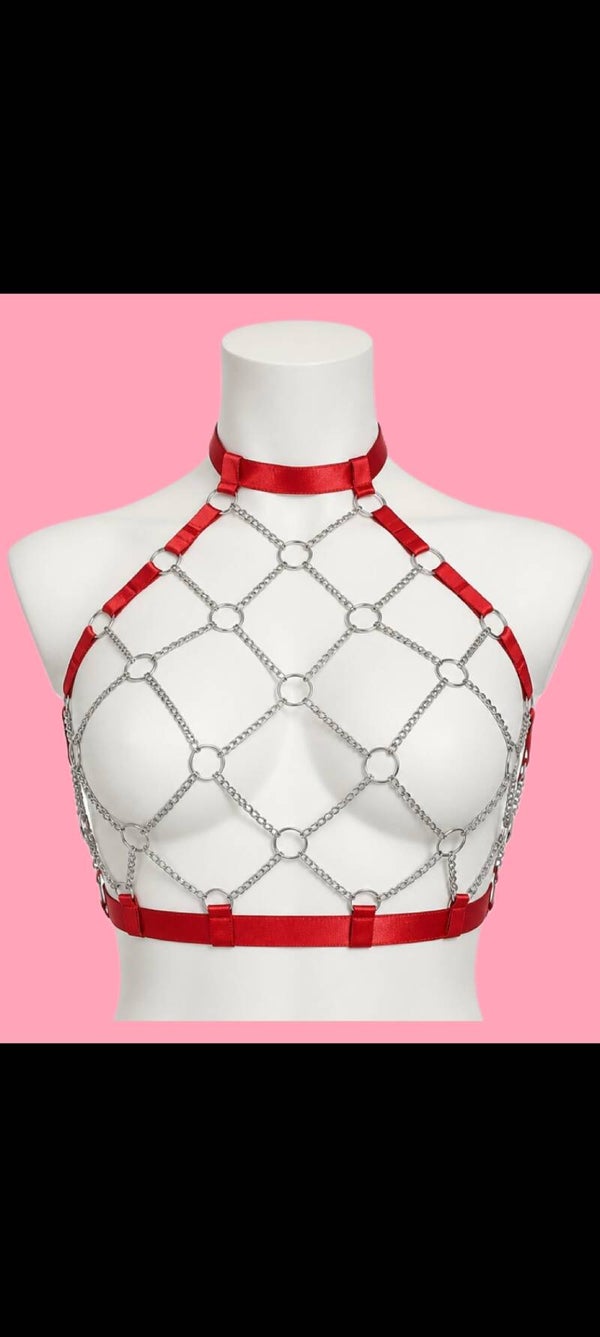 Gorgeous Red & Silver Harness
