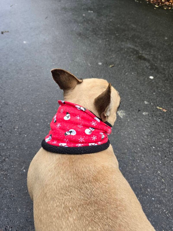 Hundeloop Frosty Friends