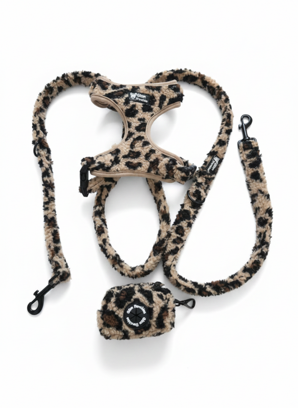 Komplett-Set Teddy Leo