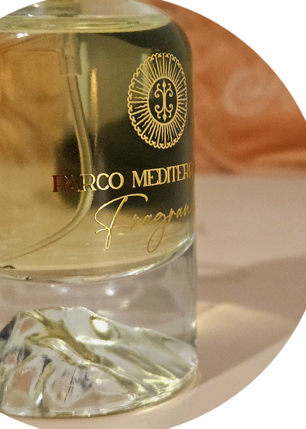 GELSOMINO DI TOSCANA