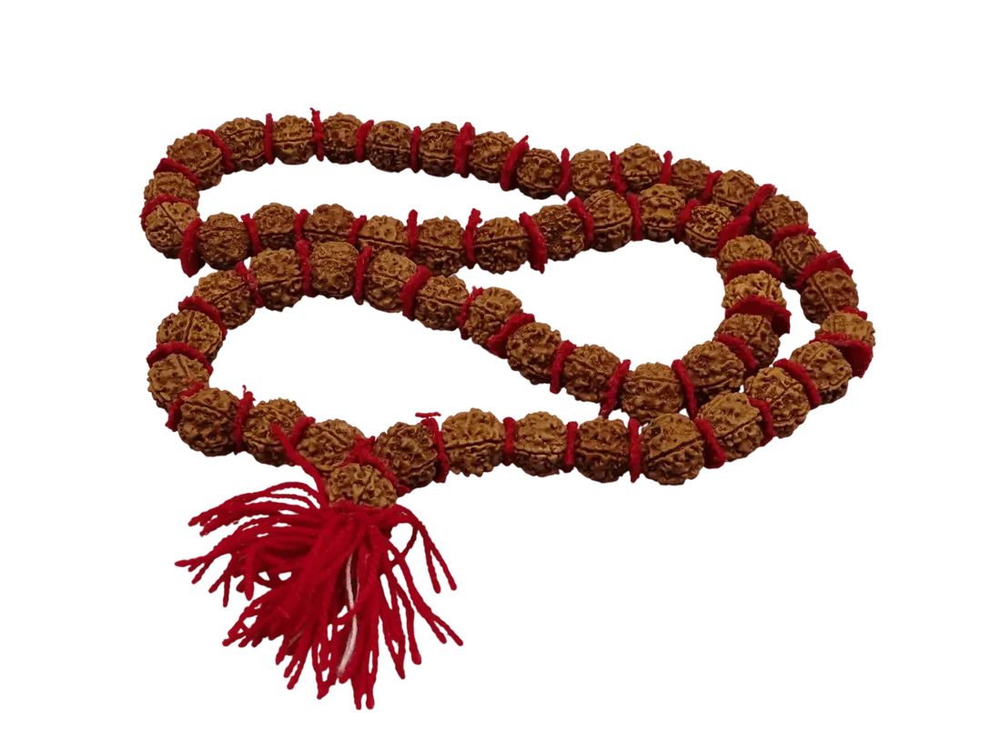 Guru Chikna Rudraksha mala uit India met 54 kralen en één guru-kraal