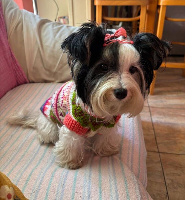 Jersey Tippi de punto noruego