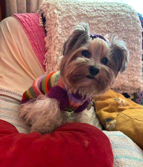 Jersey Paula a rayas