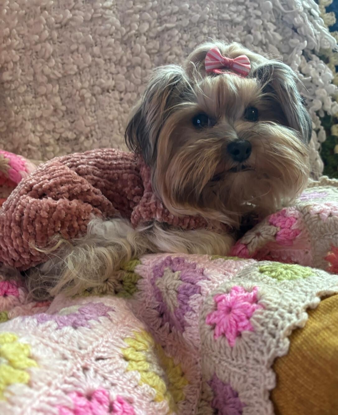 Jersey GRETA de Terciopelo rosa palo