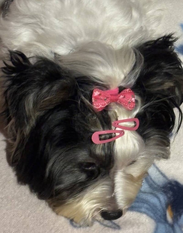 Horquillas de colores