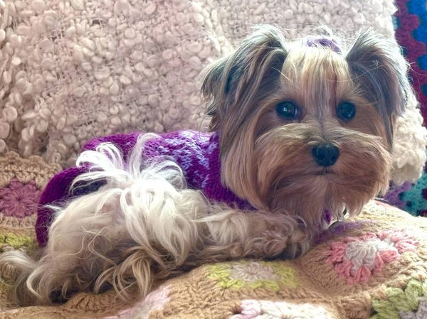 Jersey Ingrid de punto noruego