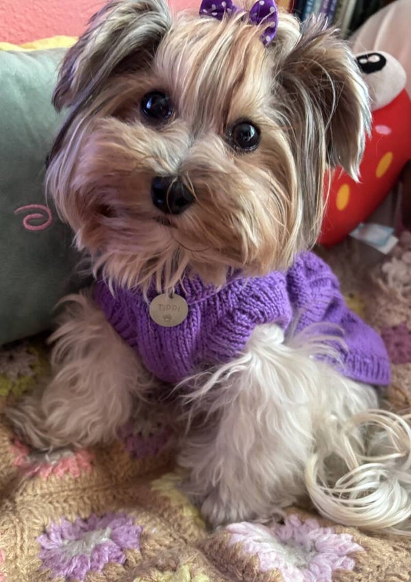 Jersey Vivien Violeta