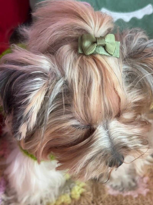 Lazos de poliéster lisos con horquillas mini