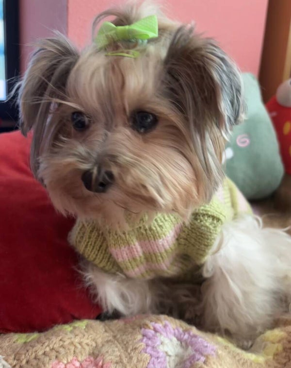 Jersey Ursula a rayas rosa y verde