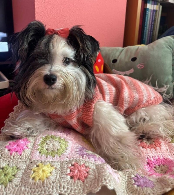 Jersey  Irene a rayas rosa