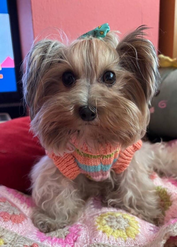 Jersey Rhonda a rayas