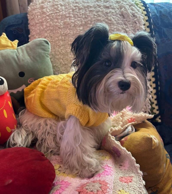 Jersey Vera amarillo