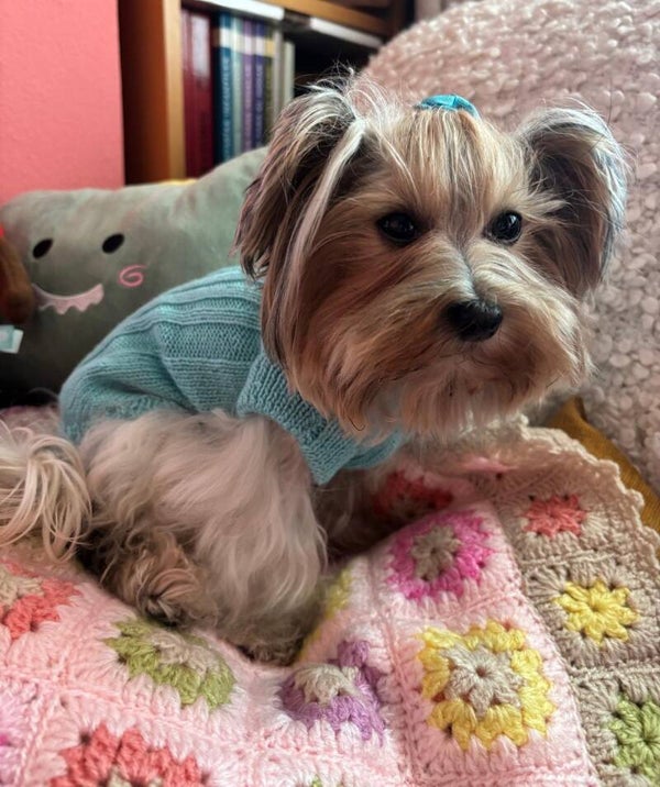 Jersey Judy Turquesa