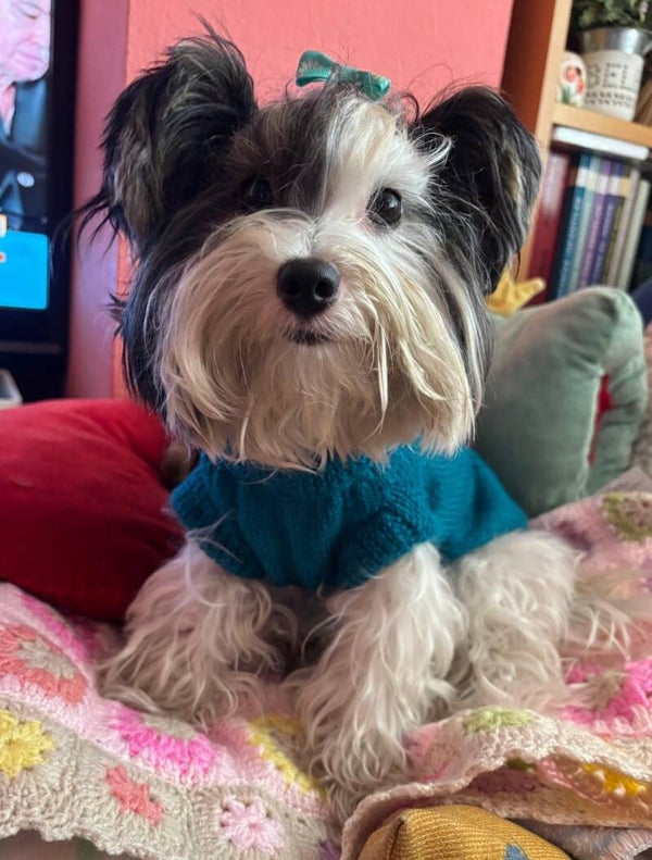 Jersey Doris Verde esmeralda